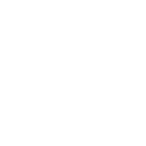 Naver Store